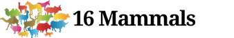 Logo of 16 Mammals
